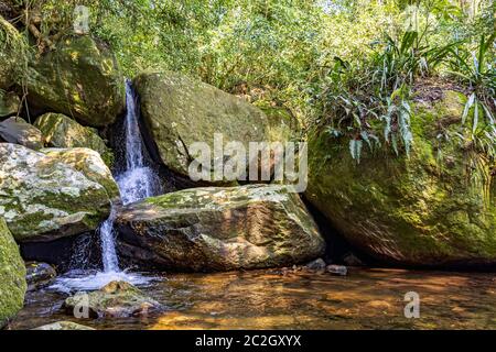 Kleiner Wasserfall inmitten der tropischen Waldvegetation der Insel Ilhabela Stockfoto