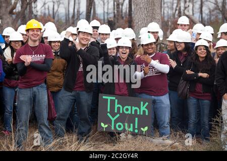 Bastrop County Texas, USA, Februar 8 2014: Studenten der Texas A&M University nehmen an „Aggie Rebplant“ Teil, einem kontinuierlichen Versuch, Lobolly-Kiefern wieder zu Pflanzen, die vor zwei Jahren von einem Waldbrand in Bastrop County verwüstet wurden. Hunderte von Studenten und anderen Gruppen arbeiten jedes Wochenende freiwillig an der Neuanpflanzung Hunderttausender Setzlinge. ©Bob Daemmrich Stockfoto