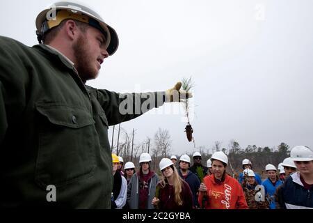 Bastrop County Texas USA, Februar 8 2014: Ein Ranger des Texas Parks and Wildlife Department zeigt den Studenten der Texas A&M University einen Lobolly Setzling, der an „Aggie Replant“ teilnimmt, einem fortwährenden Versuch, Bäume zu Pflanzen, die vor zwei Jahren von einem Lauffeuer verwüstet wurden, in Bastrop County. Hunderte von Studenten und anderen Gruppen arbeiten jedes Wochenende freiwillig an der Neuanpflanzung Hunderttausender Setzlinge. Februar 2014 © Bob Daemmrich Stockfoto