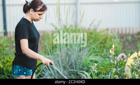Frau, die den Garten aus dem Schlauch wässert. Weibchen sprühen Wasser auf Gemüse mit einem Gartenschlauch. Eine glückliche Frau mit einem Schlauch kümmert sich um den Garten Stockfoto