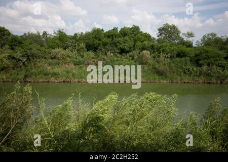 Cameron County Texas USA, 23. September 2014: Die Ufer des Rio Grande River östlich von Brownsville, Texas, säumen dicht am Busch und blicken nach Süden bis nach Mexiko. Trotz der schwierigen Überquerung gelingt es illegalen Einwanderern regelmäßig, den Fluss erfolgreich zu überqueren und sich in die Vereinigten Staaten zu schleichen. ©Bob Daemmrich Stockfoto