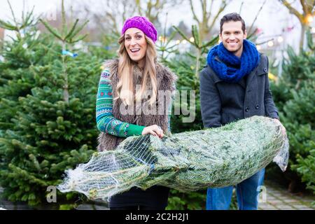 Ein Paar trägt den Weihnachtsbaum, den sie gerade gekauft haben Stockfoto