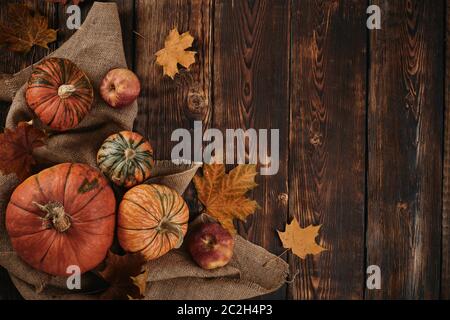 Festliches Herbststillleben mit Kürbissen, roten Äpfeln und Blättern auf dunklem Holzhintergrund. Draufsicht mit Kopierbereich. Konzept der Herbsternte, glücklich Stockfoto
