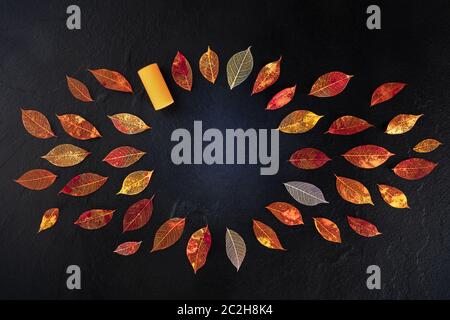 Herbst Wein Hintergrund mit lebendigen Herbst Blätter auf Schwarz, eine design Vorlage für eine Weinprobe Einladung oder ein Menü Stockfoto