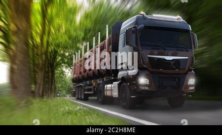 LKW mit schwerer Last. Große Baumstämme auf dem Trailer, Deutschland. Stockfoto