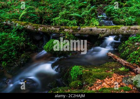 Nagelstein Wasserfälle bei St. Englmar im Bayerischen Wald Stockfoto