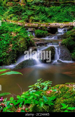 Nagelstein Wasserfälle bei St. Englmar im Bayerischen Wald Stockfoto