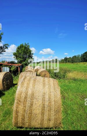 Große Strohballen unter blauem Himmel im Sommer Stockfoto
