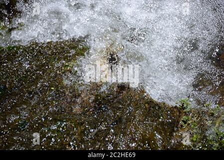 Wasserfall in der Provinz Alicante, Costa Blanca, Spanien Stockfoto