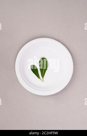Ein Pappteller mit grünem Blatt, als Symbol für umweltverträglichen Konsum, eine Welt ohne Plastik und Waren aus Materialien, die in der Natur zerlegt und recycelt werden. Speicherplatz kopieren. Stockfoto
