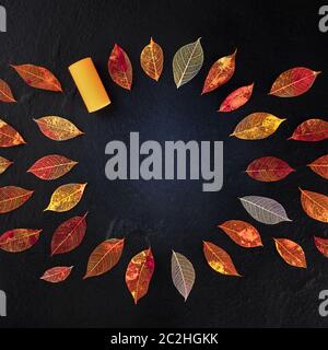 Herbst Wein Hintergrund mit lebendigen Herbst Blätter auf Schwarz, ein Quadrat design Vorlage für eine Weinprobe Einladung oder ein Menü Stockfoto