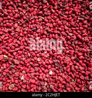 Annatto-Körner, Urucum-Hintergrund, Textur. Stockfoto