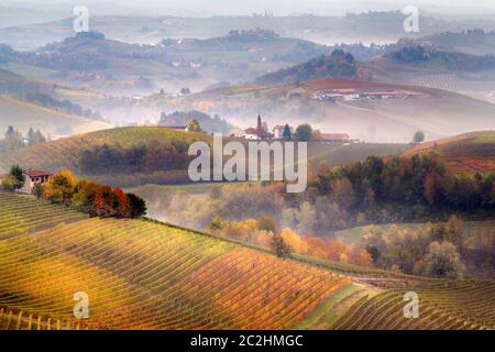 Barolo Sonnenaufgang, Region Langhe, in Piemonte (Piemont). Alba, Cuneo. Unesco-Weltkulturerbe Norditalien. Landwirtschaft Weinberge und Weinproduktion. Stockfoto