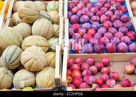 Honigmelonen und Pflaumen zum Verkauf auf einem Markt in Neapel, Italien Stockfoto