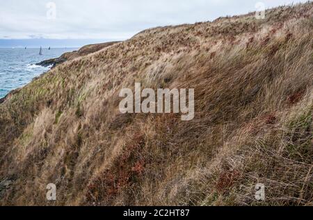 Die Küste des amerikanischen Camps auf der Insel San Juan mit Segelbooten auf der Straße von Juan de Fuca, Washington, USA. Stockfoto