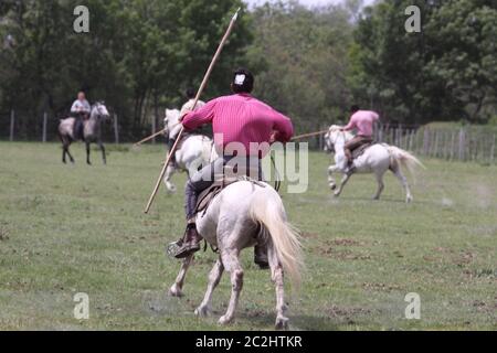 Guarian auf ihren Pferden für traditionelle Show Stockfoto