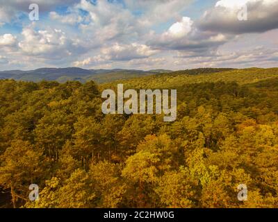 Luftaufnahme über den Anninger Hill und den Wald von Mödling in Niederösterreich. Herbst- und Wander- Konzept. Stockfoto