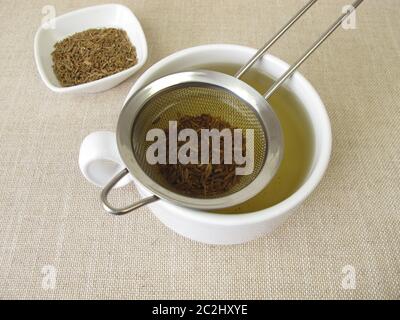 Tee aus Kümmel-Samen und Kümmel-Früchte im Teesieb Stockfoto