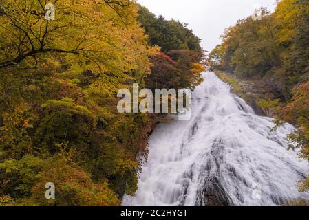 Yudaki Wasserfall Herbstwald Nikko Japan Stockfoto