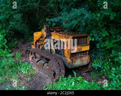 Alte gelb rostigen Track Traktor verlassen und umgeben von Vegetation Stockfoto