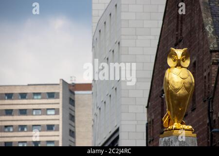Leeds UK 14. Juni 2020: Die berühmte Goldeule befindet sich im Stadtzentrum von Leeds in West Yorkshire in Großbritannien, an einem sonnigen Sommertag Stockfoto