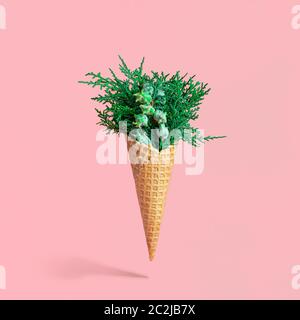 Bouquet von Zypressen Zweige in Eis-Kegel Stockfoto