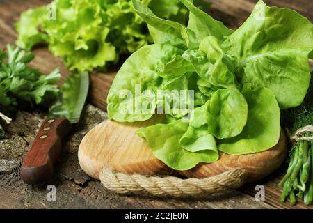 Rohe grüne Bio-Butter Salat bereit, auf Schneidebrett mit Messer hacken. Stockfoto