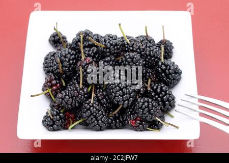 Gesund und lecker Ripe mulberry Obst in eine Schüssel geben. Stockfoto