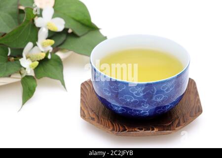 Hosta undulata 'cordata Tee, Gesund trinken, dokudami auf weißem Hintergrund Stockfoto