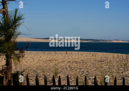 Holzsandzaun und Pinie am Strand von Cap Ferret mit der Dune du Pilat über der Bucht von Arcachon, Frankreich Stockfoto