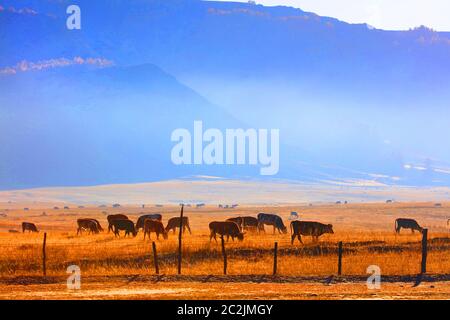 Xinjiang kanas Landschaft Stockfoto