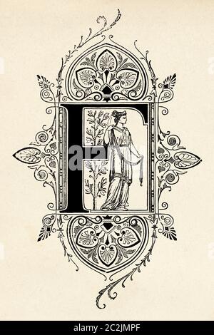 Design des 19. Jahrhunderts, Anfangsbuchstabe F. Alte eingravierte Illustration des 19. Jahrhunderts, El Mundo Ilustrado 1880 Stockfoto