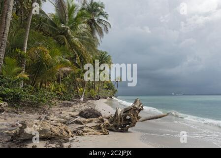 Panoramablick auf den Strand von Boca del Drago Panama Stockfoto