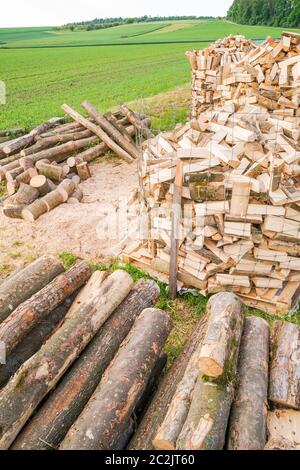 Holzstämme auf einem Holzgarten in einer Frühlingsfeld Umgebung Stockfoto