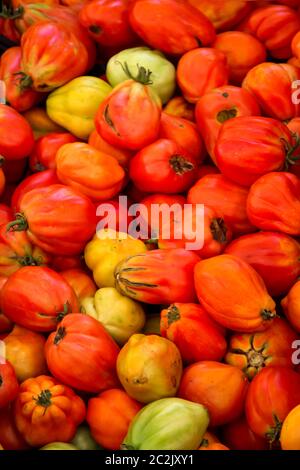 Viele rote und gelbe Tomaten, da sie hauptsächlich in den südlichen Ländern angebaut werden Stockfoto