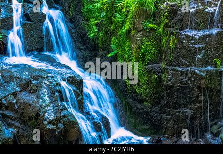 La Petite Cascade - der kleine Wasserfall von Cance und CanÃ§auf Flüssen - Le Neufbourg, Normandie, Frankreich Stockfoto