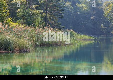 Nationalpark Plitvicer Seen, ein Wunder der Natur, Kroatien Stockfoto