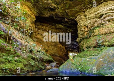 Regenwald Höhle Innenraum mit kleinem Fluss und See Stockfoto