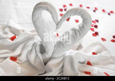 Weiß zwei Handtuch Schwäne auf dem Bett, bestreut mit roten Blütenblättern. Das handtuch aussehen wie Herz und Es ist für die Paare, die in der Honig Mond vorzubereiten. Ideal für selbst Stockfoto