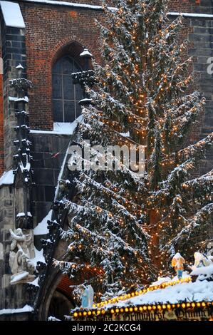 Chritsmasbaum an der Marktkirche auf dem weihnachtsmarkt in Hannover Stockfoto