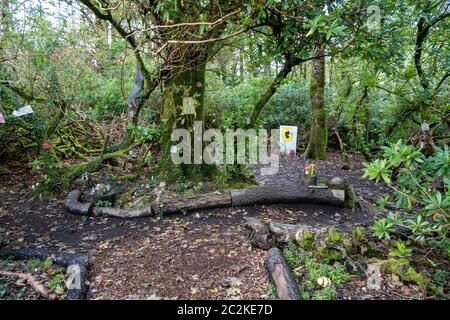 Viktorianischer ummauerter Garten in der Kylemore Abbey Stockfoto