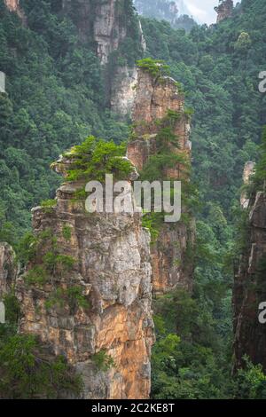 Vertikale Ansicht der steinernen Säulen der Tianzi Berge in Zhangjiajie National Park ist eine berühmte Touristenattraktion, Landschaftspark Wulingyuan gelegen, Provinz Hunan, Stockfoto