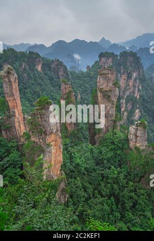 Vertikale Ansicht der steinernen Säulen der Tianzi Berge in Zhangjiajie National Park ist eine berühmte Touristenattraktion, Landschaftspark Wulingyuan gelegen, Provinz Hunan, Stockfoto