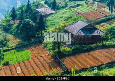 Kleine Landwirtschaft in Sapa in der Provinz Lao Cai im Nordwesten Vietnams Stockfoto