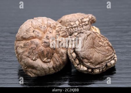 Japanische getrocknete Shiitake-Pilze auf schwarzem Hintergrund Stockfoto