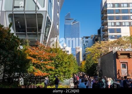 Herbstfärbung des High Line Park Chelsea in Midtown Manhattan Stockfoto