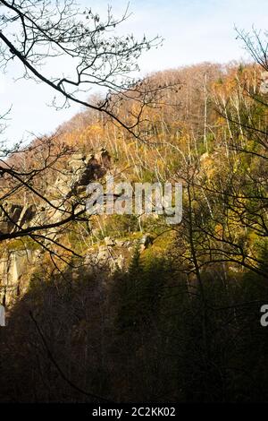 Herbst tiefen Wald in Isergebirge, Region Liberec, Tschechische Republik Stockfoto