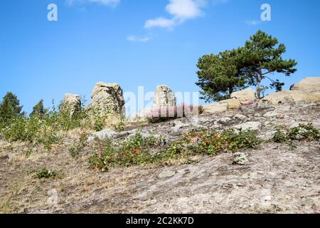 Harz, Berge, Sandsteinfelsen bilden eine wunderschöne Landschaft Stockfoto