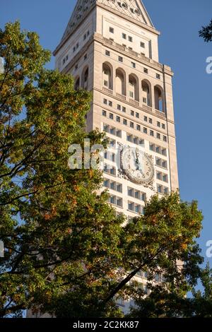 Herbstfärbung des Madison Square Park Flatiron District in Midtown Manhattan Stockfoto