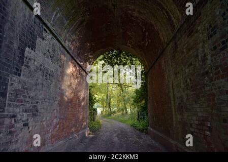 Der alte rote und violette Backsteintunnel enthält eine schlammige zweigleisige Straße, die sich in Laubwälder, Kletterpflanzen und Unterholz öffnet. Stockfoto